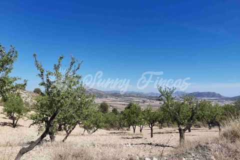 Masia a Salinas, Alicante, Salinas - € 85.000 | Ref: SF0447 - foto 28